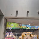 현대농수산 - 신안군 압해로 687 | 킨텍스 메가쇼&트래블쇼 2026 시즌 1 마지막날 후기