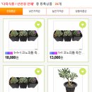 단골플라워가든