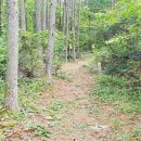 민주지산자연휴양림 이미지