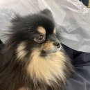 현지미용실 이미지