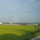 명학1리_마을회관 이미지