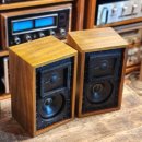 화이트벨리 이미지