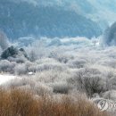 비밀의 정원 이미지