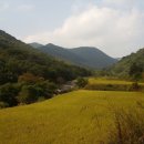 고향마을 - 수원시 권선구 일월천로10번길 2 | 고향마을