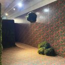 🌲🍃🪵 연작 팀보타 탐의숲 전시회 내돈내산 후기 🌲🍃🪵