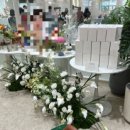 색깜 | [돌잔치답사후기]배곧 플로렌스