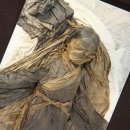 미라농장 이미지