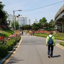아직도 장미가 불타듯 열정적인 중랑장미공원으로 동기회 여의도포럼 6월 월례답사