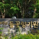 제570회 행복걷기 초안산( 명품길)공지 이미지