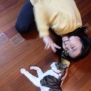 첼리노