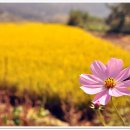 건천목장 이미지