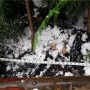 토산농장 이미지