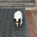 동이몽이 | 11월은 행복해