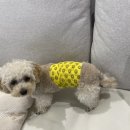 베이시티 동물병원 이미지