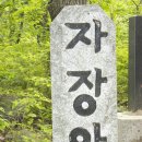 자장암(통도사암자)와 금화보살(금개구리) 이미지