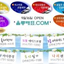 울릉닷컴