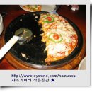 서피동파