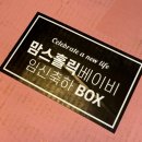 에코트루 | 맘스홀릭베이비 임신축하박스 88차 후기 🎁 구성품 대공개 (무료 임신박스 언박싱)