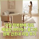 거실 한복판에 둬도 예술인 아이넥스 홈그린 원목 건조대 리얼 후기