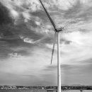 조수목장 이미지