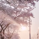 분코리아 이미지