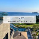 제주메이리조트 | 제주도 호텔 투어. JW 메리어트 제주 리조트 &amp; 스파 사용 후기