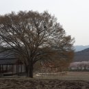 병곡보건지소 이미지