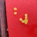 동암 낚시터 | 2019-09-23 충남아산동암낚시터