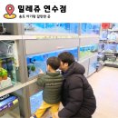 홈플러스 연수점(밀레쥬) | 스퀘어원 연수 아기랑 앵무새 기니피그 물고기등 구경하기 좋은 밀레쥬 연수