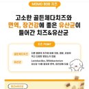 모모댕댕 이미지