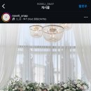 로젤리스냅 이미지