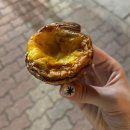 해제면 공공버스터미널 | 홍콩 마카오 자유여행 / day3 마카오 코타이 워터젯 베네시안 세나도광장 팝마트 버스 나이트 투어