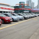 대한엔카 이미지