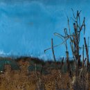 세계 미술관 여행(동양) 이미지