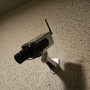 아비디따 이미지