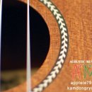 통기타(입문A) 이미지