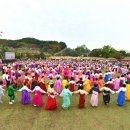 고창이네 이미지