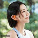 (주)노이디자인 | 오픈형인데 노이즈캔슬링? 블라우풍트 오픈픽 BLP-OE383의 등장이 신기했어요