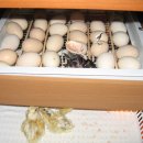 현인농원 이미지