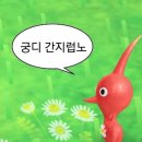 주식회사 디플