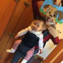 멍멍아 까꿍 이미지