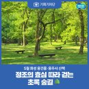용주사효행박물관 | [기회기자단] 정조의 효심 따라 걷는 초록 숲길, 5월 화성 융건릉·용주사 산책
