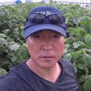 시장마을회관 이미지