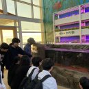 제천제일고등학교 이미지