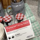 정약국 | 고양이 구충제 파나쿠어정 약국 구매 후기｜효과·복용법·부작용 솔직 리뷰