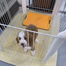 개예쁘다 런닝센터 이미지