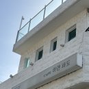 하얀파도 | [여수] 햇살 가득 오션뷰 카페 '하얀파도' 후기｜내돈내산 인생샷 건질 수있는 크림빵 맛집 데이트 국내...