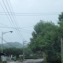 그린프라자(던킨도넛) 앞 | 용인 파3, 조일프라자골프클럽, 9홀 19,000원실환가? 직접 다녀와봤습니다.(생생후기포함)