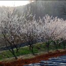 검암중학교 이미지