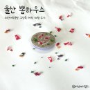 뽐하우스